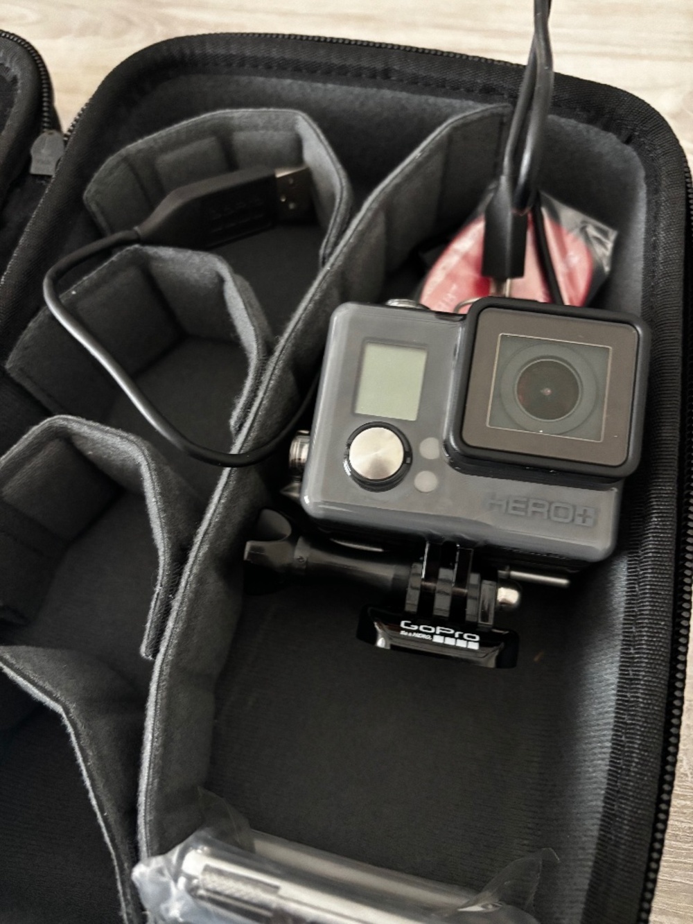 Go Pro with case